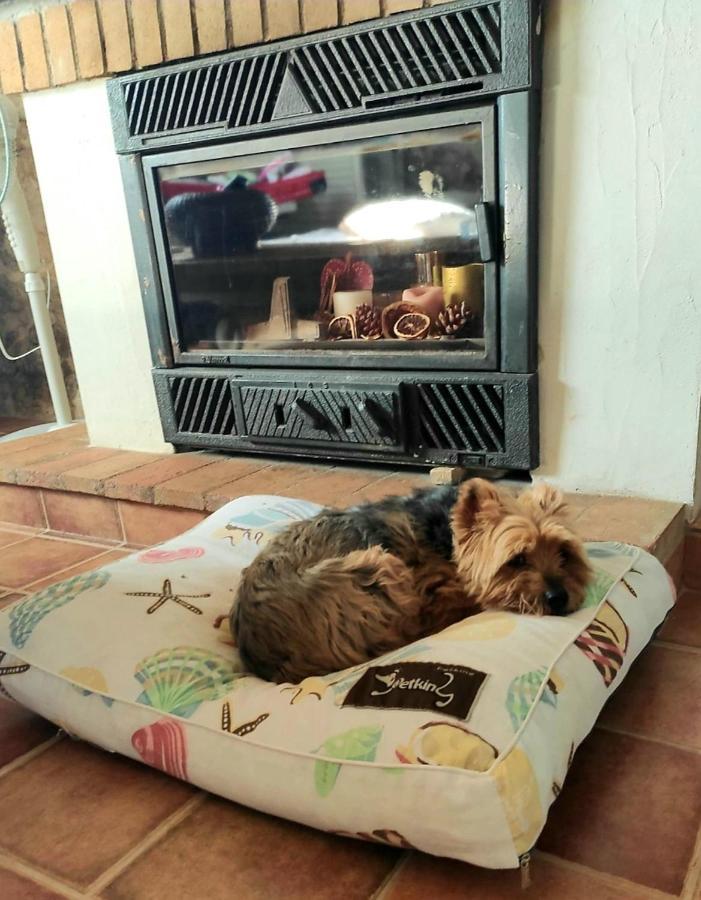 Вилла La Ultima Casa Masboquera Mas Boquera Экстерьер фото